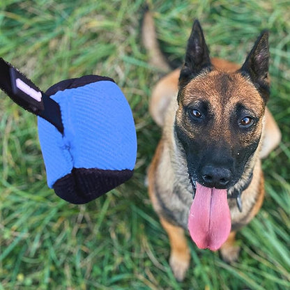 Dingo Gear French Linen Ball for Dog Training, as Reward for Fetch tug of war, with Long Handle, Handmade, Blue-Black S02815