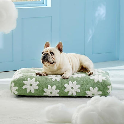 LE SURE Dog Beds Medium Size-Thick Shredded Chopped Foam Pet Bed as Gift for Indoor with Removable Cover, Cute Modern Fuzzy Plush & Anti Slip Bottom, Green