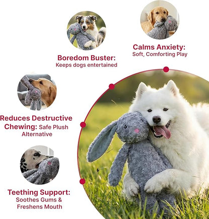 Pet Lou Floppy Rabbit Stuffingless Plush Dog Toy with Squeaker and Crinkle Paper, Dog Chew Toys, 19 Inch Durable Dog Toys for Medium and Large Dogs, Gray