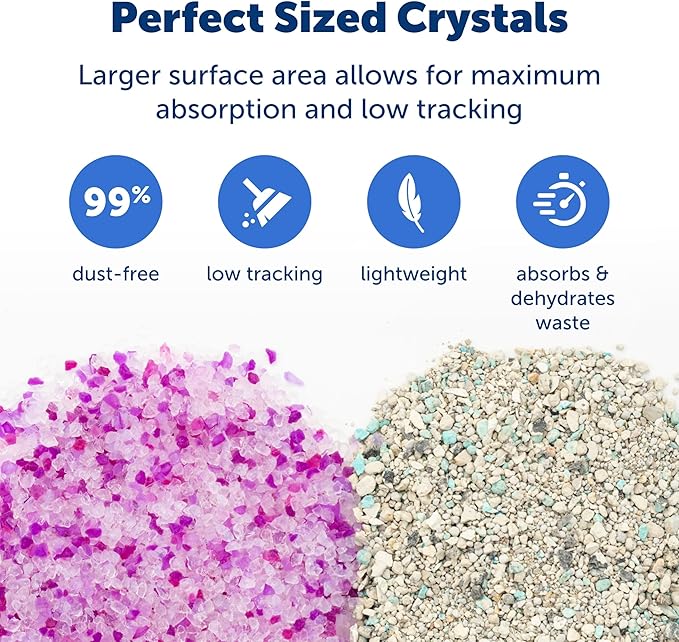 PetSafe ScoopFree Premium Crystal Cat Litter - Outperforms Clay Litter - Refill Packs - Reusable Tray Compatible - Lavender Scent - 4.3 lb Bags - 2 Pack