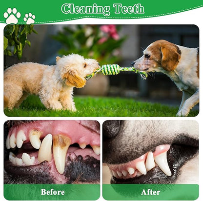 ASOCEA 5 Pack Dog Rope Toys Cotton Puppy Teething Rope Durable Chew Toys for Boredom Small Medium Dogs Interactive Tug Toy for Training Fetching （Green）