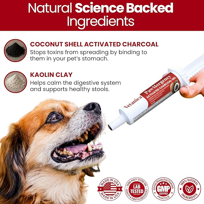PawMergency – Activated Charcoal First Aid Kit Emergency Rescue 4 Pack for Dogs, Cats, Puppy & Pet Poison Kit, Camping Survival Remedy Essential, Oral Anti Diarrhea Digestive Absorb Toxins (4 pack)