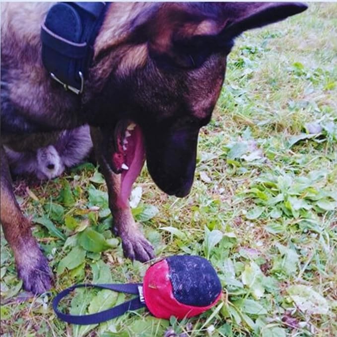 Dingo Gear Dog Tug Toy for Strong Dog, Bite Training, IGP, Fun, French Linen, Small Ball red S02780