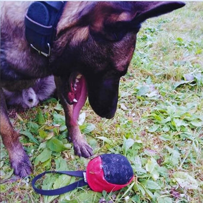 Dingo Gear Dog Tug Toy for Strong Dog, Bite Training, IGP, Fun, French Linen, Small Ball red S02780