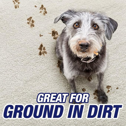 RESOLVE® Pet Heavy Traffic - Dual Foam Pack 4/(2x22) oz. (2-Pack) (Pack of 2)