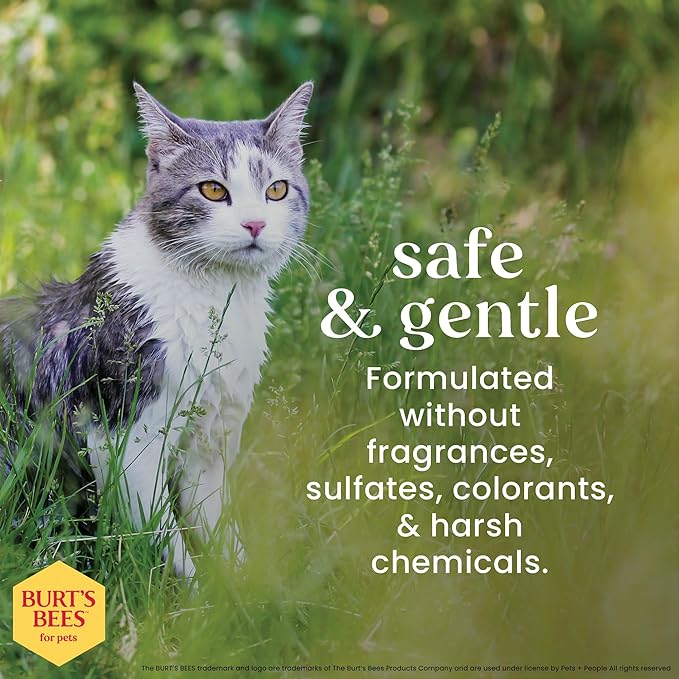 BURT'S BEES FOR PETS Cat Dander Remover Wipes, Unscented Soft Grooming Cloths with Colloidal Oat Flour + Aloe, Helps Reduce Flaking Between Baths for Cats & Kittens, 50 Count - Pack