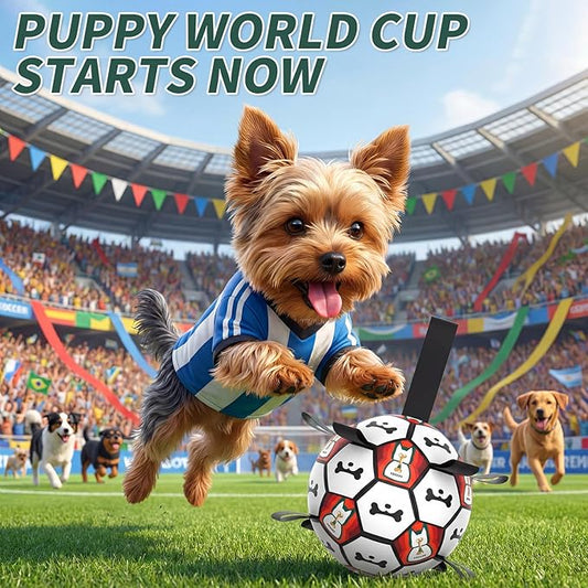 Interactive Dog Ball Toys, 2026 Dog Soccer Ball with Thicken Straps for Small Medium Breeds Tug of War, Small Herding Balls with Pump for Puppy Dogs Outdoor Play Training (Black, 6 Inch)