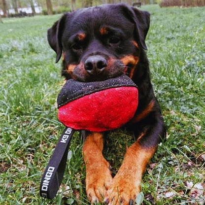 Dingo Gear Dog Tug Toy for Strong Dog, Bite Training, IGP, Fun, French Linen, Big Ball red S02781