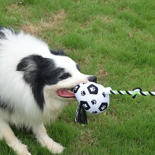 QDAN Dog Soccer Ball for Dogs, Durable Outdoor Dog Toys, Plush Dog Balls, Pet Rope Birthday Toys for Small to Large (Black)