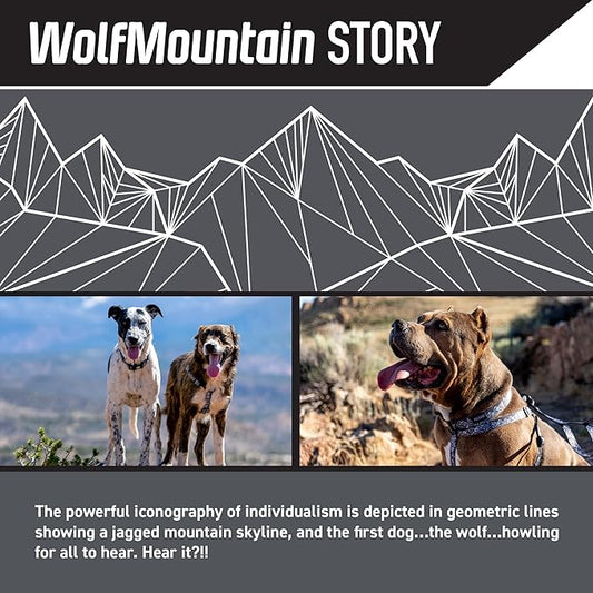 Wolfgang Heavy Duty, Adjustable Dog Collar with Quick Release Nylon Buckle for Walking & Training, WolfMountain Print, Large