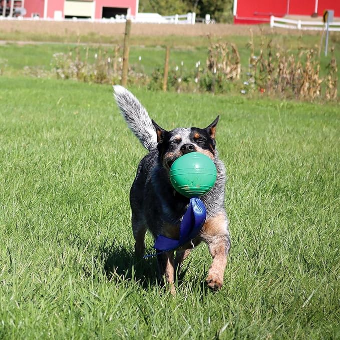 PetKORE: KoreFlex Ball & Tail - 4.75", Green, Dog Toy, Shape Maintaining Rubber, Durable Strap, Treat Stuffing Center, Bounce-Tug-Fetch-Chew, Pet Play