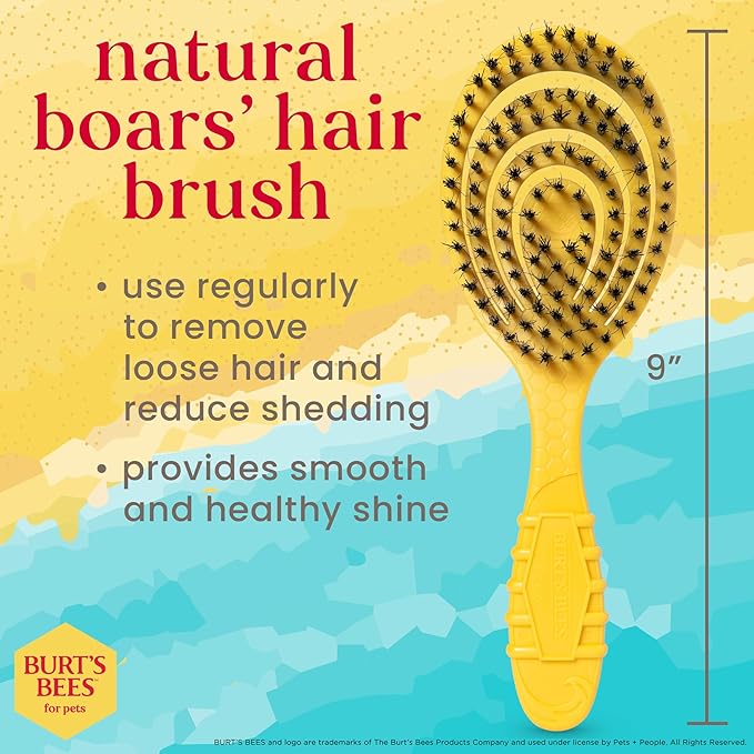 Burt's Bees for Pets Bristle Brush with Natural Boars Hair & Nylon with Handle Made from Recycled Plastics Collected from Coastal Communities - Eco Friendly De-Shedding Dog Brush for Grooming