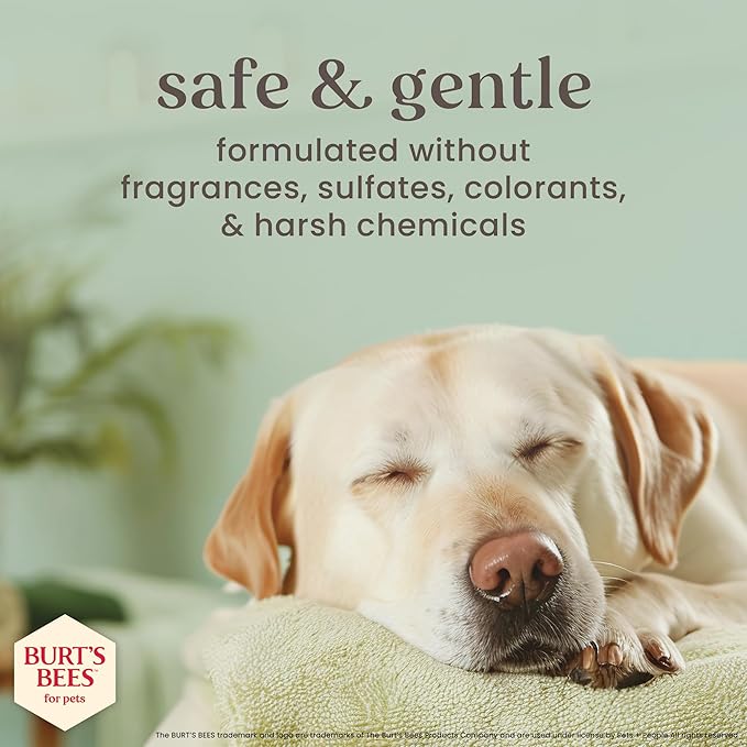 BURT'S BEES FOR PETS Paw & Nose Lotion for Dogs with Manuka Honey and Olive Oil, Soothes Dry Dog Paws -Naturally Derived Ingredients, 6 Oz