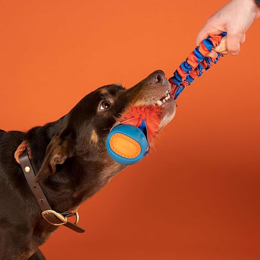Tug-E-Nuff Pocket PowerBall Fauxtastic | Pocket-Sized Tug Toy | Durable Bungee Tug Toy for Dogs | Ideal for Interactive Dog Training and Dogs of All Ages | Made of Durable Faux Fur
