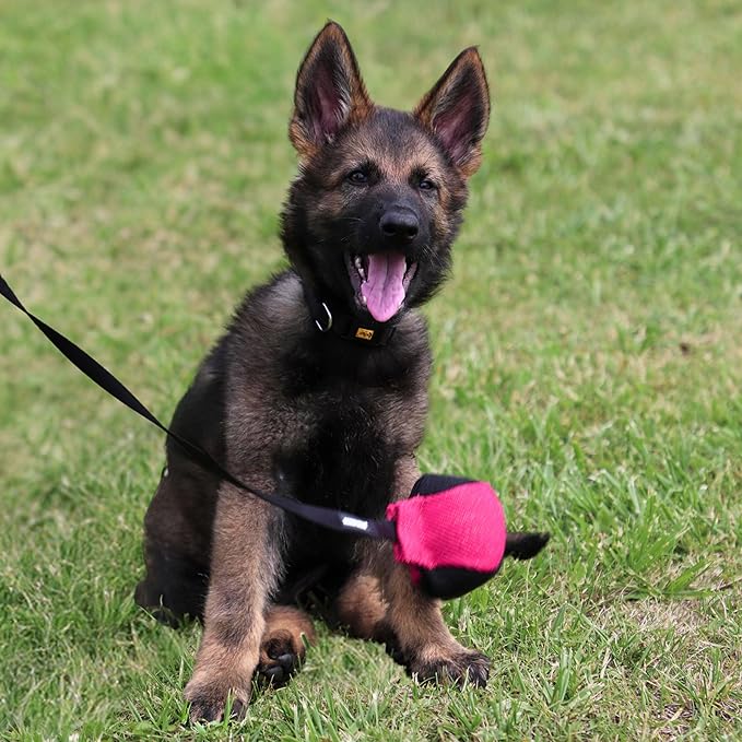Dingo Gear French Linen Ball for Dog Training, as Reward for Fetch tug of war, with Long Handle, Handmade, Pink-Black S02816