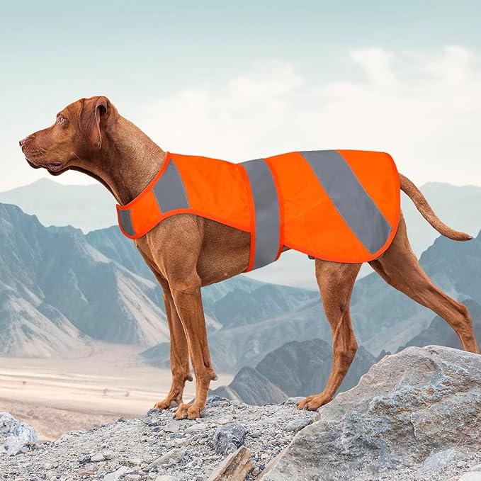 Orange High Visibility Safety Dog Vest, Hunting Jacket, Adjustable Soft Reflective Coat for Small Medium Large Dogs