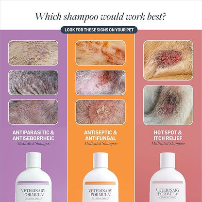 Veterinary Formula Clinical Care Antiseptic and Antifungal Medicated Shampoo for Dogs & Cats, 16 Fl Oz – Helps Alleviate Scaly, Greasy, red Skin – Paraben, Dye, Soap-Free (2 Pack)