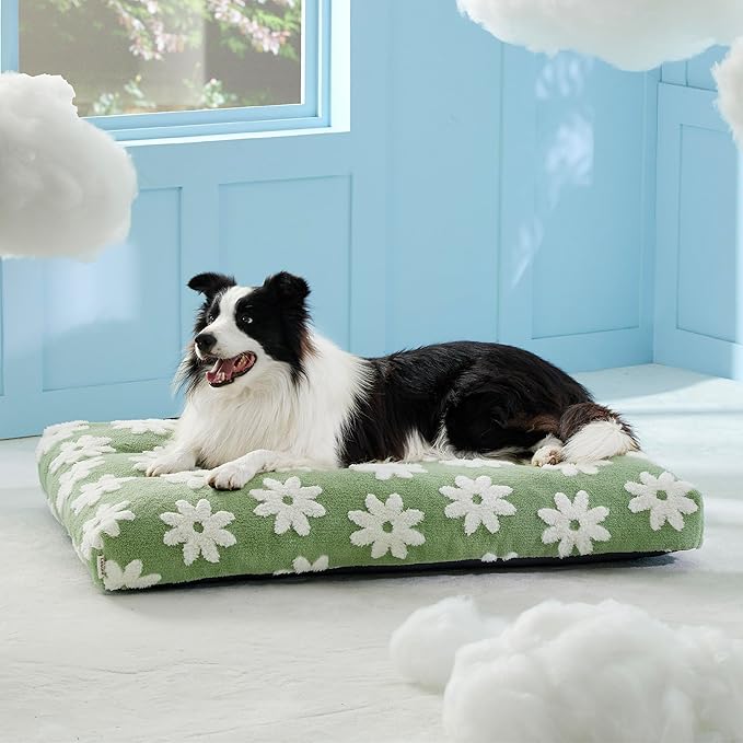 LE SURE Large Dog Beds-Thick Shredded Chopped Foam Pet Bed as Gift for Indoor with Removable Cover, Cute Modern Fuzzy Plush & Anti Slip Bottom, Green