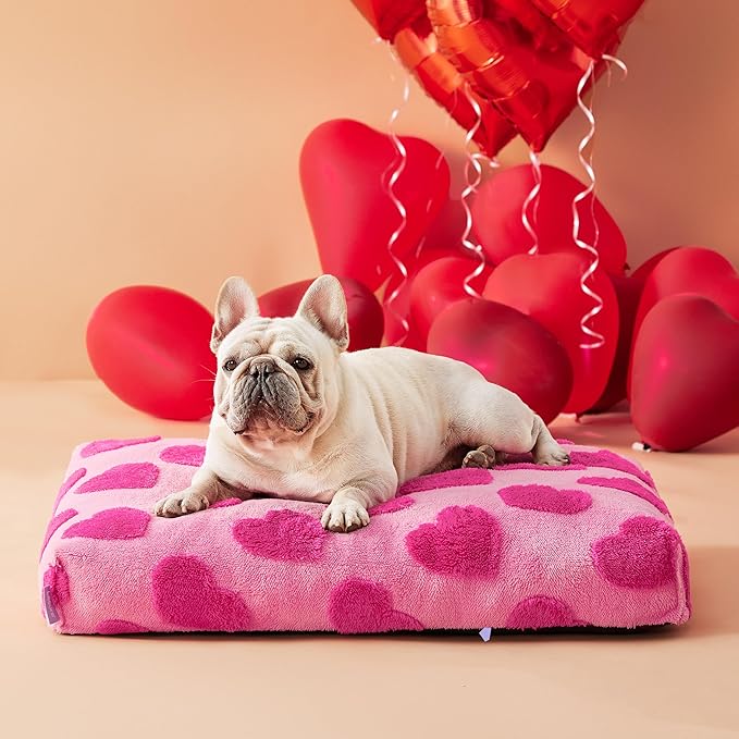 LE SURE Dog Beds Medium Size-Thick Shredded Chopped Foam Pet Bed Indoor Valentine's Day Gift for Pets, Washable Cute Modern Fuzzy Plush & Anti Slip Bottom,Lover Hearts