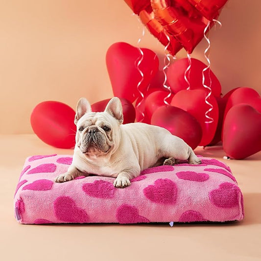 LE SURE Dog Beds Medium Size-Thick Shredded Chopped Foam Pet Bed Indoor Valentine's Day Gift for Pets, Washable Cute Modern Fuzzy Plush & Anti Slip Bottom,Lover Hearts