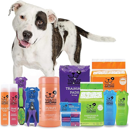 Wags & Wiggles Freshen Deodorizing Wipes for Dogs, Fresh Strawberry Scent - Dog Wipes Eliminate Odors - Easy and Convenient Way to Freshen Your Pet Without A Bath, 100 Count