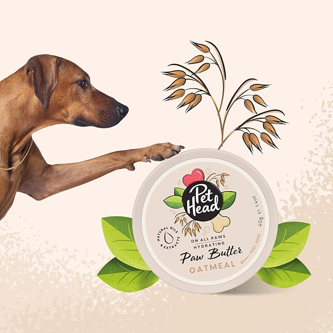 Pet Head On All Paws Oatmeal Paw Butter | Soothes & Nourishes for Soft Crack-Free Paws and Noses | Paw Moisturizer Balm | Vegan | Lick-Safe | Gentle Formula for Puppies | Made in USA | 1.4 oz.