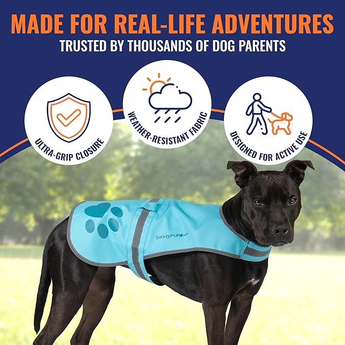 SafetyPUP XD Dog Reflective Vest – Hi-Vis Fluorescent Visibility That Helps to Safeguard Your Pet On/Off Leash in Urban & Rural Areas (Teal, Large)