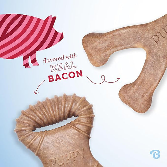 Benebone Puppy 2-Pack Dental Chew/Wishbone Real Bacon Small