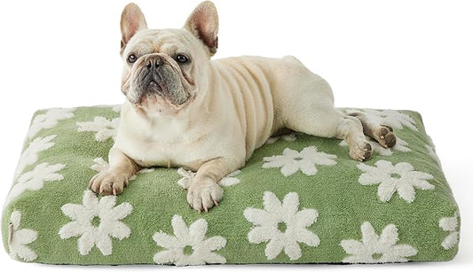LE SURE Dog Beds Medium Size-Thick Shredded Chopped Foam Pet Bed as Gift for Indoor with Removable Cover, Cute Modern Fuzzy Plush & Anti Slip Bottom, Green