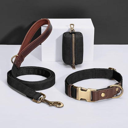 Didog Classic Dog Poop Bag Holder, Easy-Pull and Elegant PU Leather Pet Waste Bag Dispenser for Leash with Carabiner Clip, Includes 1 Roll Dog Waste Bag for Daily Walking,Black