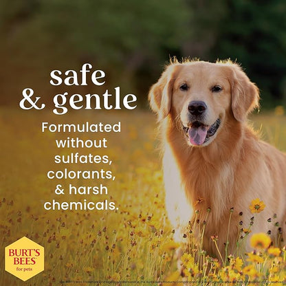 Burt's Bees for Pets Dog Paw and Nose Lotion with Rosemary and Olive Oil, Moisturizing Paw Balm for Dry Cracked Pads and Dog Nose Butter Moisturizer, Paw Lotion for Dogs Skin Care, 4 Fl Oz - 24 Pack