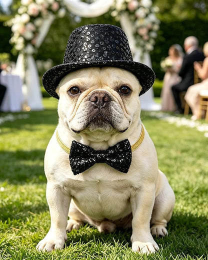 PET SHOW 2 Pack Small Dog Top Hat & Collar Bowtie Black Adjustable Cat Sombrero Hat Formal Bow Tie Halloween Cosplay Costume New Year Pet Birthday Party Holiday Decoration