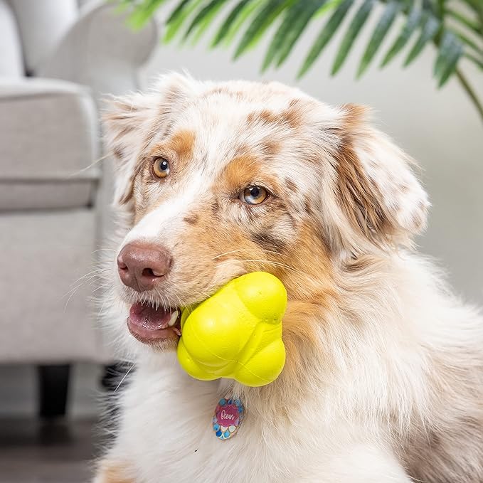 Hyper Pet Fetching Dog Toys - Throwing Bumpy Ball Dog Toy Made with EVA Foam - Lightweight & Floats on Water
