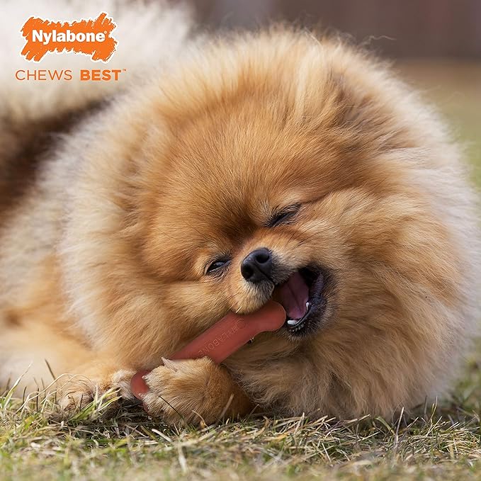 Nylabone Original Bone Power Chew Toy for Dogs, Durable & Tough Dog Toys for Aggressive Chewers, Bacon Flavor, Small - Up to 25 lbs - Up to 25 Ibs, 1 Count