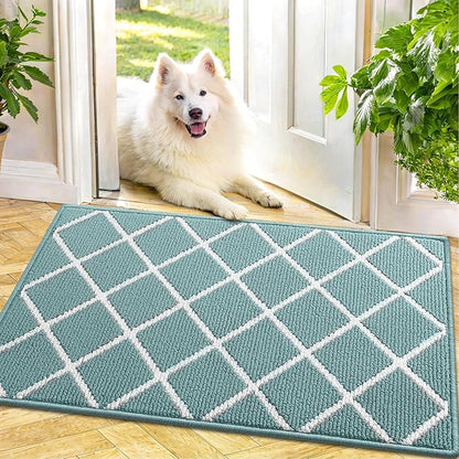 Finchitty Indoor Door Mat, Dirt Resistant and Absorbent, Low-Profile, Non-Slip, Washable Inside Floor Mats for Front Door, Back, and Entrance, 48" x 32", Sage Green