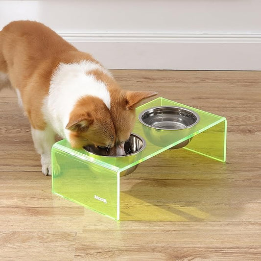 The LICKER Store DBL2000G Keaton 5" Small/Medium Modern Acrylic Rectangular Elevated Pet Feeder with 20oz 2-Stainless Steel Bowls, Green/Chrome
