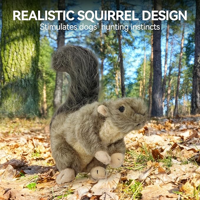 ALL FOR PAWS Interactive Dog Squirrel Plush Squeaky Toy - Perfect Puppy Enrichment Toy, Large