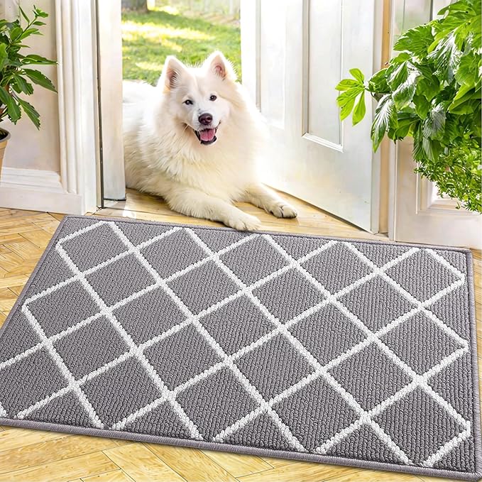 Finchitty Indoor Door Mat, Dirt Resistant and Absorbent, Low-Profile, Non-Slip, Washable Inside Floor Mats for Front Door, Back, and Entrance, 30" x 17", Grey