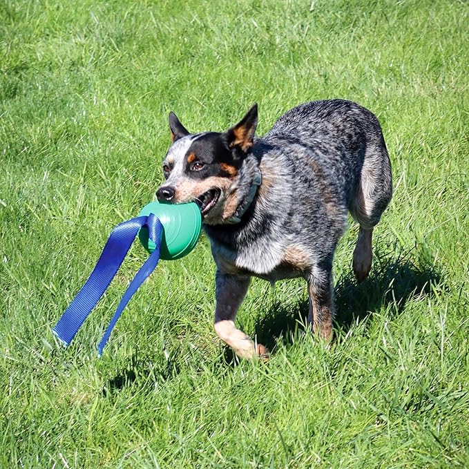 PetKORE: KoreFlex Ball & Tail - 4.75", Green, Dog Toy, Shape Maintaining Rubber, Durable Strap, Treat Stuffing Center, Bounce-Tug-Fetch-Chew, Pet Play