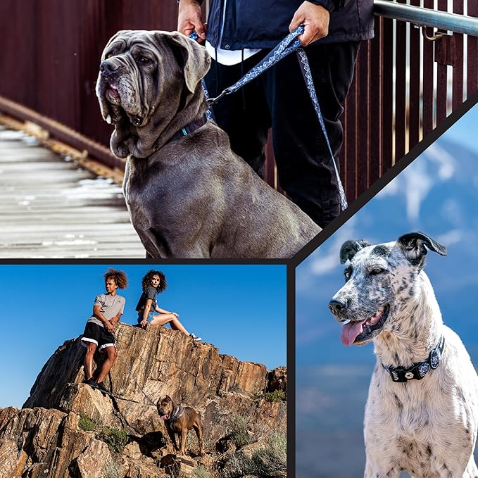 Wolfgang Heavy Duty, Adjustable Dog Collar with Quick Release Nylon Buckle for Walking & Training, WolfMountain Print, Large