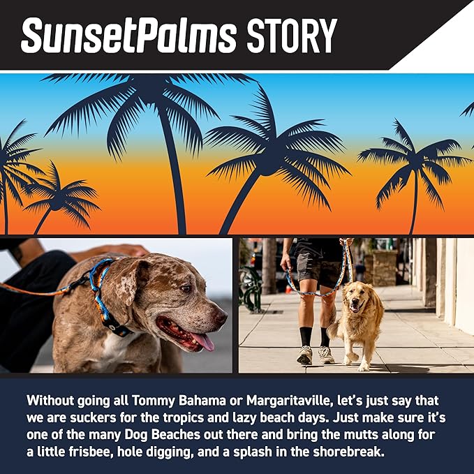 Wolfgang Heavy Duty, Adjustable Dog Collar with Quick Release Nylon Buckle for Walking & Training, SunsetPalms Print, Small