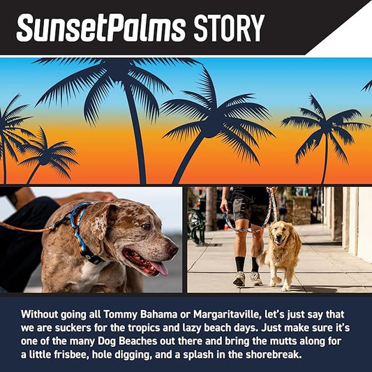 Wolfgang Heavy Duty, Adjustable Dog Collar with Quick Release Nylon Buckle for Walking & Training, SunsetPalms Print, Small