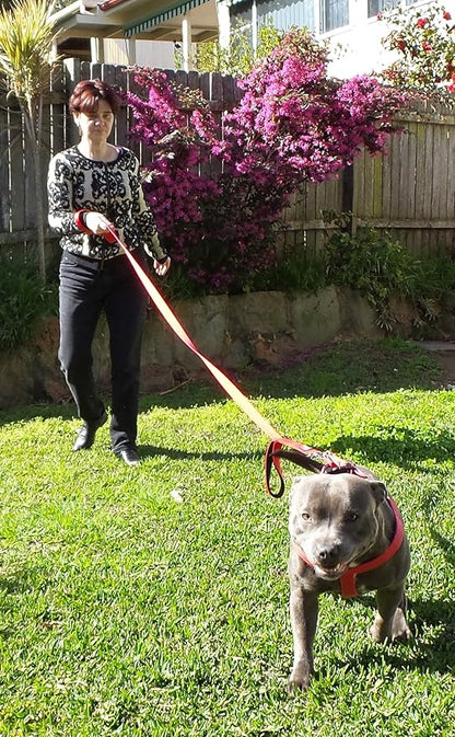 Primal Pet Gear Dog Leash 6ft Long,Traffic Padded Two Handle,Heavy Duty,Reflective Double Handles Lead for Control Safety Training,Leashes for Large Dogs or Medium Dogs,Dual Handles Leads(Red)