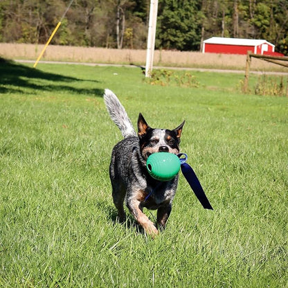 PetKORE: KoreFlex Ball & Tail - 4.75", Green, Dog Toy, Shape Maintaining Rubber, Durable Strap, Treat Stuffing Center, Bounce-Tug-Fetch-Chew, Pet Play