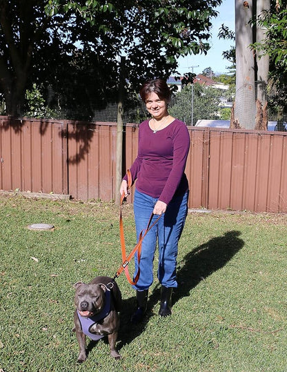 Primal Pet Gear Dog Leash 6ft Long,Traffic Padded Two Handle,Heavy Duty,Reflective Double Handles Lead for Control Safety Training,Leashes for Large Dogs or Medium Dogs,Dual Handles Leads(Orange)