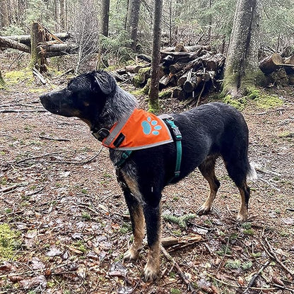 Bandana for Dogs. Blaze Orange Dog Scarf with Reflective Elements is a Perfect Pet Bandana Collar for Girl and Boy Dogs. Enhance Your Dog Walking Accessories with Our High-Visibility Handkerchief