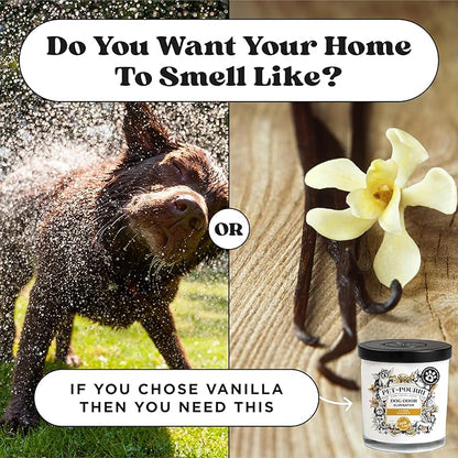 Pet-Pourri Canine Coconut Dog Deodorizer Candle – Puppy & Dog Safe – Plant Based Ingredients & Wax – Vet Approved – Aromatherapy & Air Freshener for Pet Odor – Scented with Bamboo, Jasmine & Pear