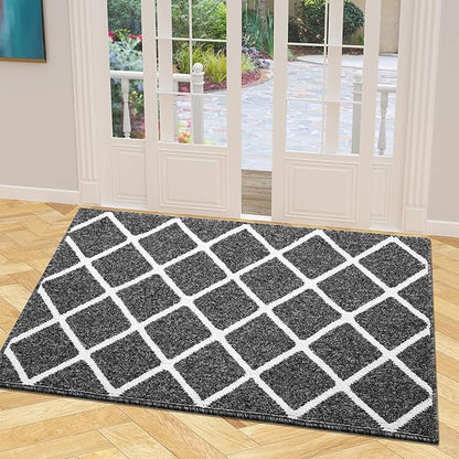 Finchitty Indoor Door Mat, Dirt Resistant and Absorbent, Low-Profile, Non-Slip, Washable Inside Floor Mats for Front Door, Back, and Entrance, 48" x 32", Black