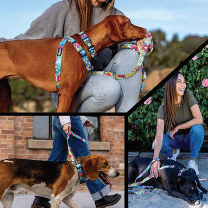 Wolfgang Heavy Duty, Adjustable Dog Collar with Quick Release Nylon Buckle for Walking & Training, LazyDaisy Print, Medium