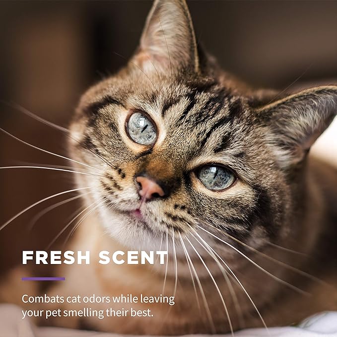 Wet Ones for Cats Freshening Wipes, Multi-Purpose Cat Grooming Wipes with Aloe Vera, Helps Remove Dirt, Odor, and Dander Between Baths, Fresh Scent, 50 Count - 12 Pack